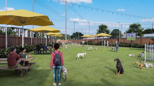 Centennial Dog Park photo 2